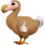 dodo on Apple