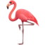 flamingo on Apple