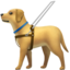 guide dog on Apple