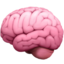 brain on Apple