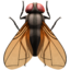 fly on Apple