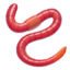 worm on Apple