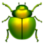 beetle on Apple