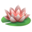 lotus on Apple