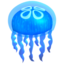 jellyfish on Apple