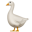 goose on Apple