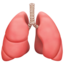 lungs on Apple