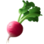 root vegetable on Apple