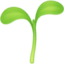 seedling on Facebook