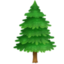 evergreen tree on Facebook