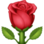 rose on Facebook