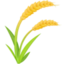 sheaf of rice on Facebook