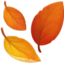 fallen leaf on Facebook