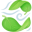 leaf fluttering in wind on Facebook