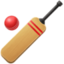 cricket game on Facebook