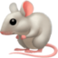 mouse on Facebook