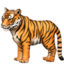 tiger on Facebook