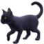 black cat on Facebook