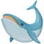 whale on Facebook
