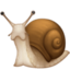 snail on Facebook