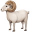 ram on Facebook