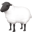 ewe on Facebook