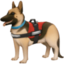 service dog on Facebook