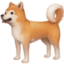dog on Facebook