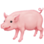 pig on Facebook