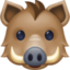 boar on Facebook