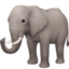 elephant on Facebook