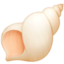 spiral shell on Facebook