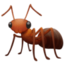 ant on Facebook