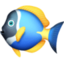 tropical fish on Facebook