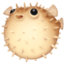 blowfish on Facebook