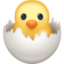 hatching chick on Facebook