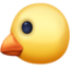 baby chick on Facebook