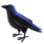 black bird on Facebook