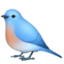 bird on Facebook