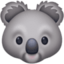koala on Facebook