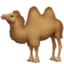 two-hump camel on Facebook