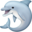 dolphin on Facebook