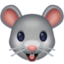 mouse face on Facebook