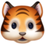 tiger face on Facebook
