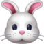 rabbit face on Facebook