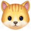 cat face on Facebook