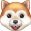 dog face on Facebook