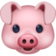 pig face on Facebook