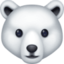 polar bear on Facebook