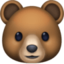 bear on Facebook